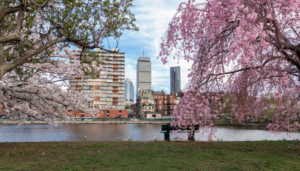 Boston Advisors