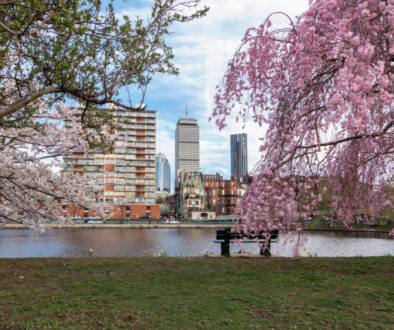 Boston Advisors